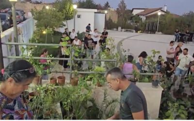 Παραχώρηση 1000+ δενδρυλλίων στο Σούνι-Ζανακιά