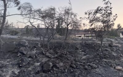 ΠΡΑΣΙΝΗ ΕΛΠΙΔΑ ΓΙΑ ΤΟΝ ΤΟΠΟ ΜΑΣ – Συμμετοχή σε πορεία ευαισθητοποίησης του κοινού για την προστασία των δασών