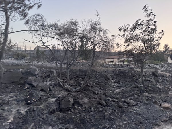 ΠΡΑΣΙΝΗ ΕΛΠΙΔΑ ΓΙΑ ΤΟΝ ΤΟΠΟ ΜΑΣ – Συμμετοχή σε πορεία ευαισθητοποίησης του κοινού για την προστασία των δασών