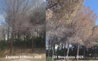 Εγκληματική αδιαφορία σήμερα ή τραγωδία αύριο;Το Πράσινο κόμμα της Κύπρου καταγγέλλει τμήμα δασών και Δήμο Λευκωσίας